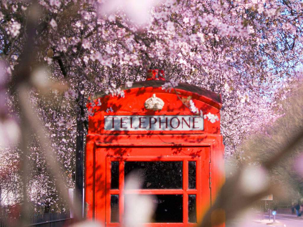 Spring in London: A Beautiful Time to Explore and Learn English